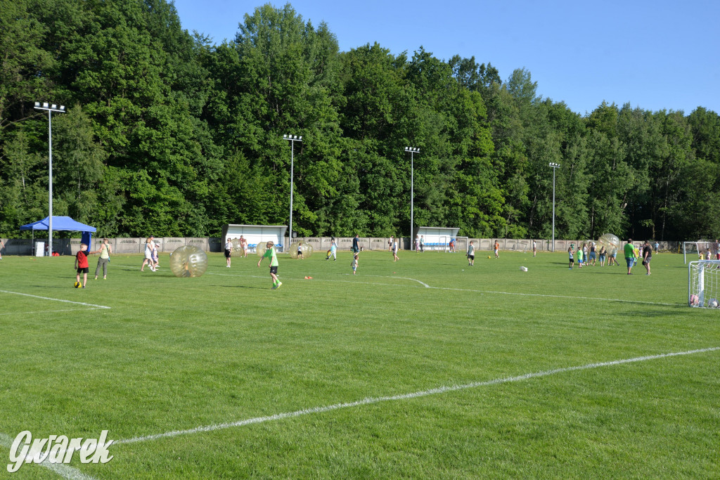 Setka Zgody Repty Śląskie