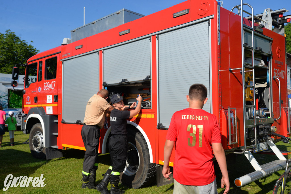 Setka Zgody Repty Śląskie