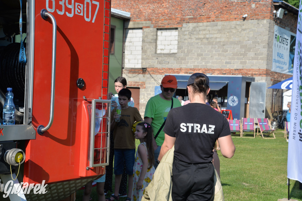 Setka Zgody Repty Śląskie