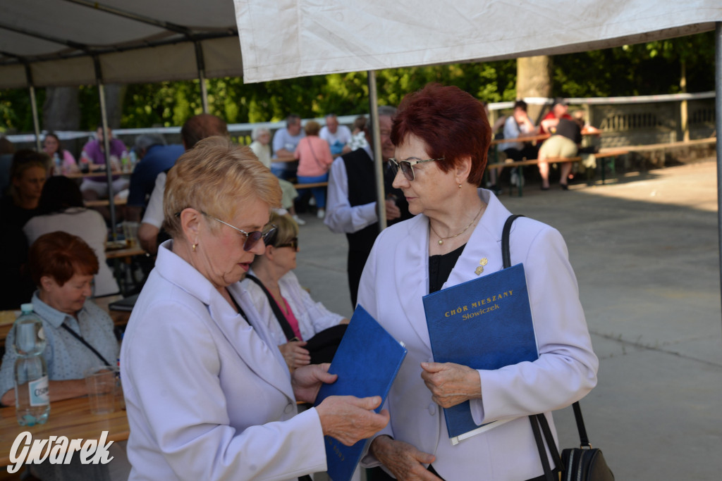 Setka Zgody Repty Śląskie