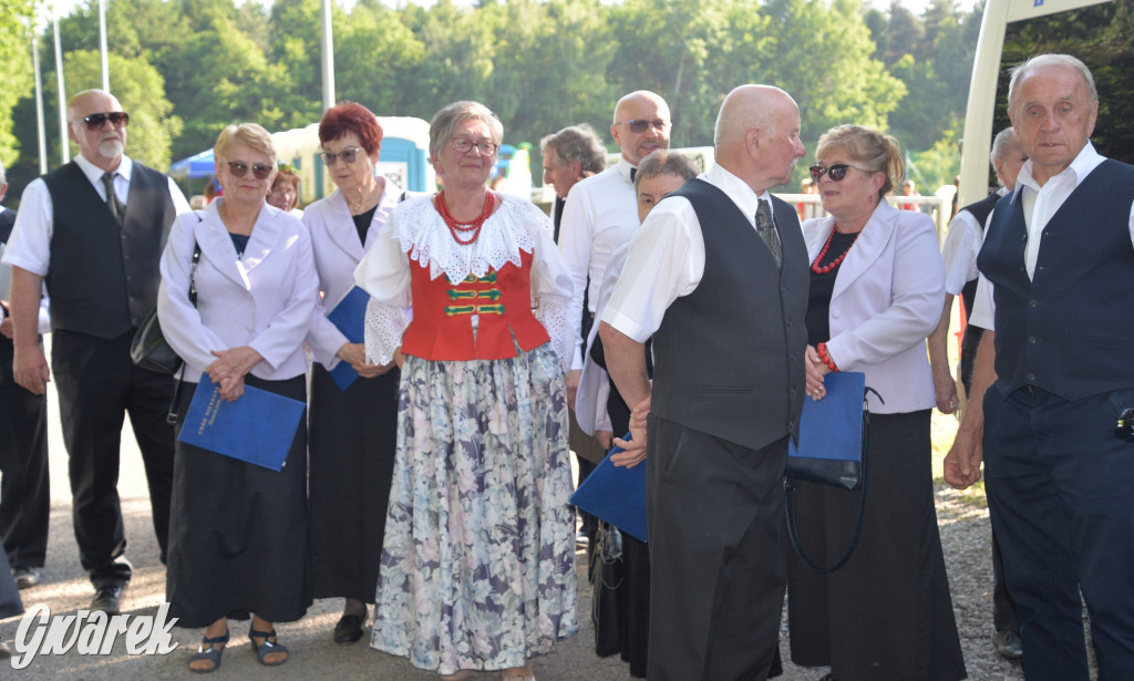 Setka Zgody Repty Śląskie