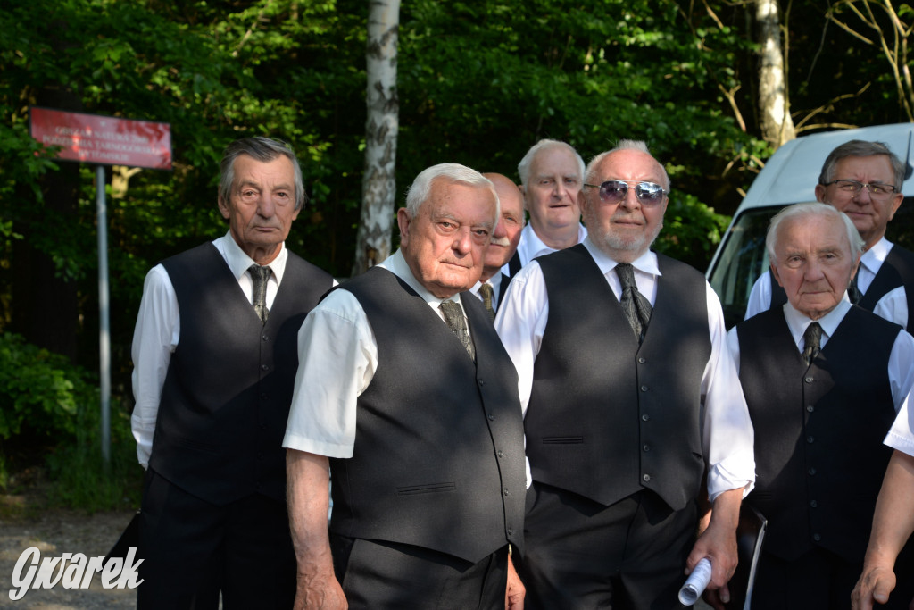 Setka Zgody Repty Śląskie