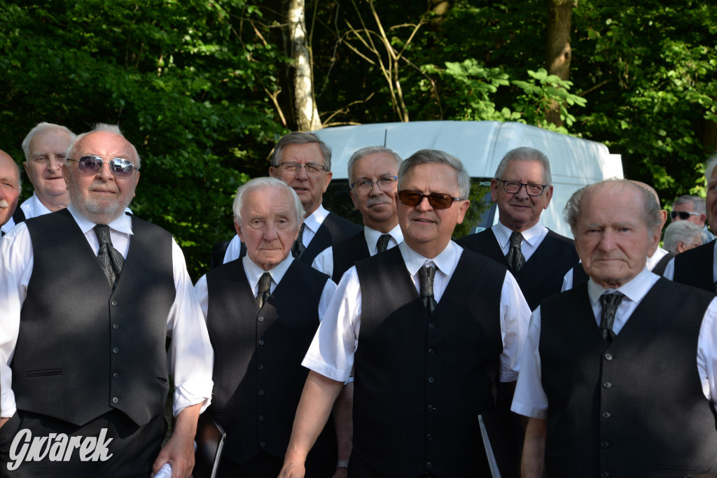 Setka Zgody Repty Śląskie