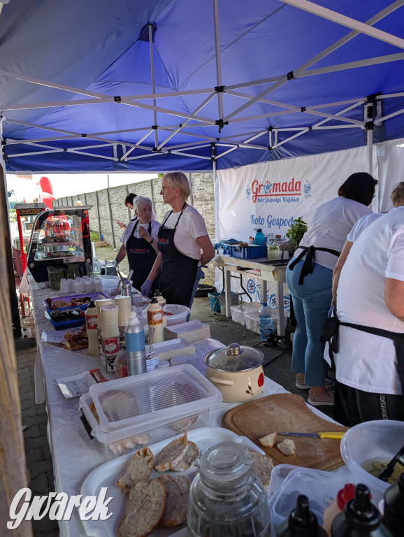 Bieg po Truskawkę - sport, las i owoce w jednym pakiecie