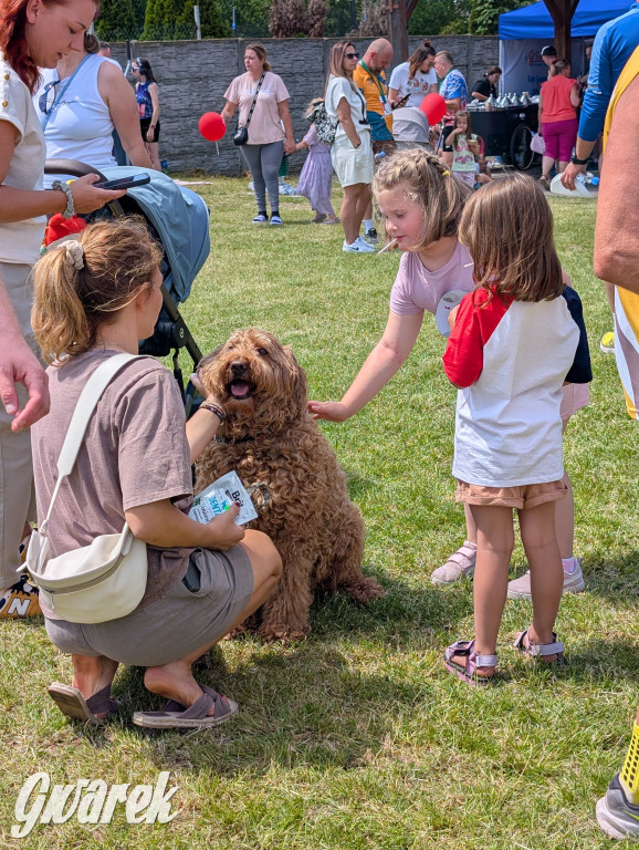 Bieg po Truskawkę - sport, las i owoce w jednym pakiecie
