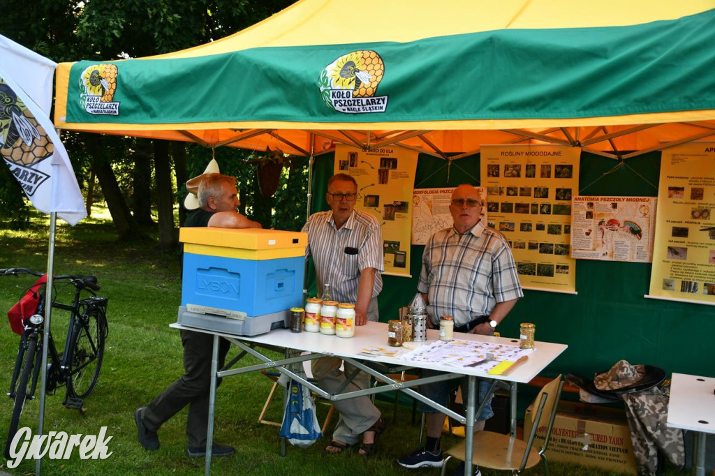 Dni Gminy Świerklaniec w zabytkowym parku