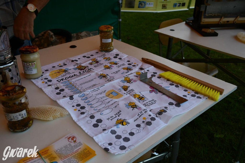 Dni Gminy Świerklaniec w zabytkowym parku