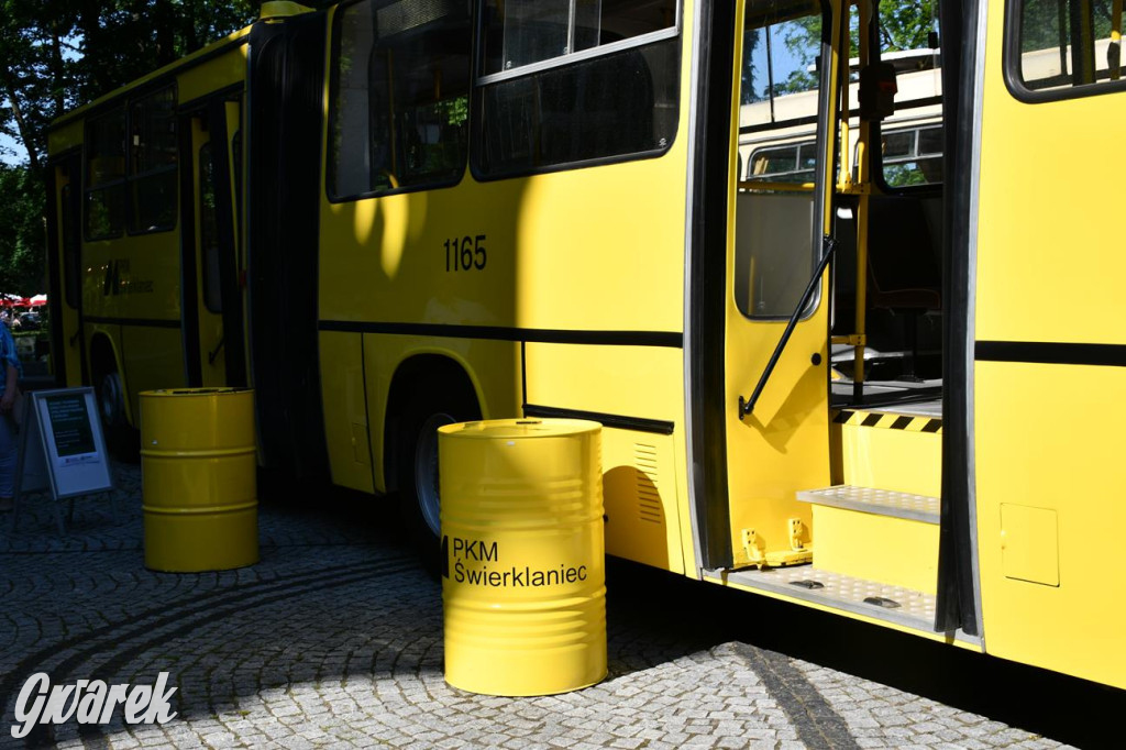 Dni Gminy Świerklaniec w zabytkowym parku