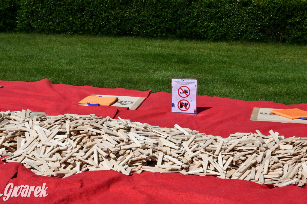 Dni Gminy Świerklaniec w zabytkowym parku