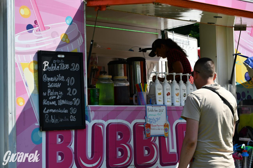 Dni Gminy Świerklaniec w zabytkowym parku