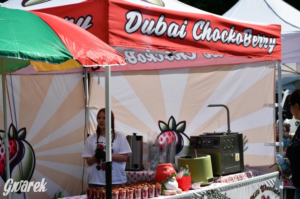 Dni Gminy Świerklaniec w zabytkowym parku