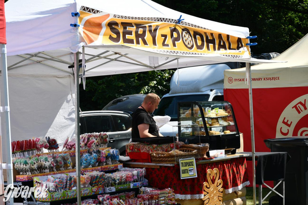 Dni Gminy Świerklaniec w zabytkowym parku