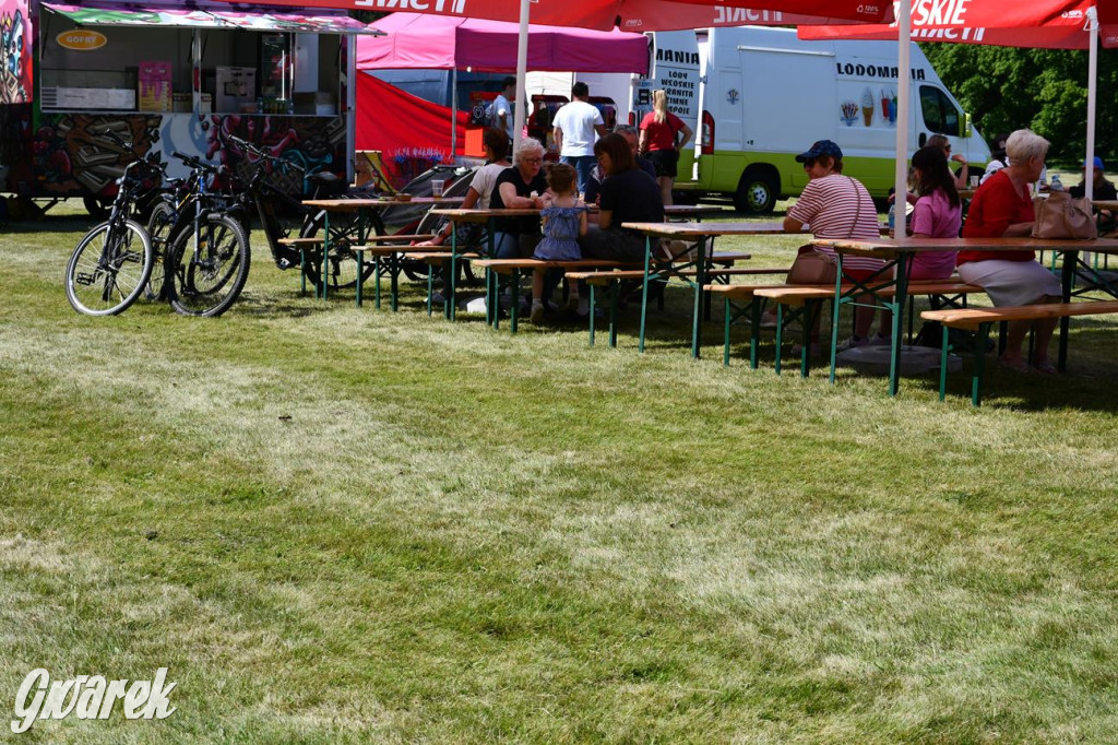 Dni Gminy Świerklaniec w zabytkowym parku