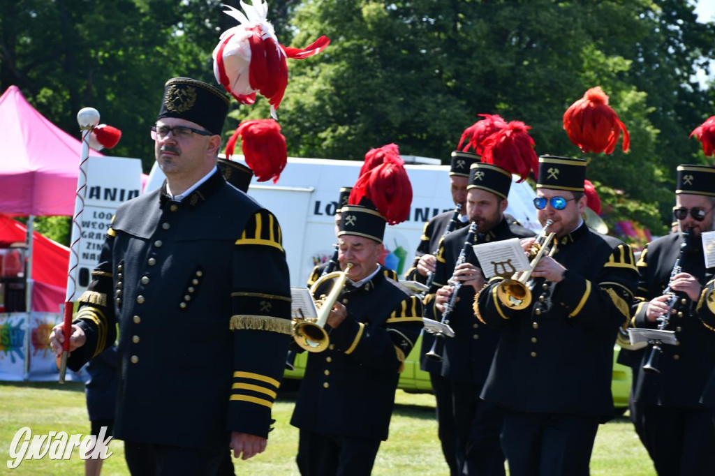 Dni Gminy Świerklaniec w zabytkowym parku