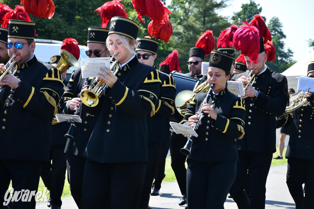 Dni Gminy Świerklaniec w zabytkowym parku