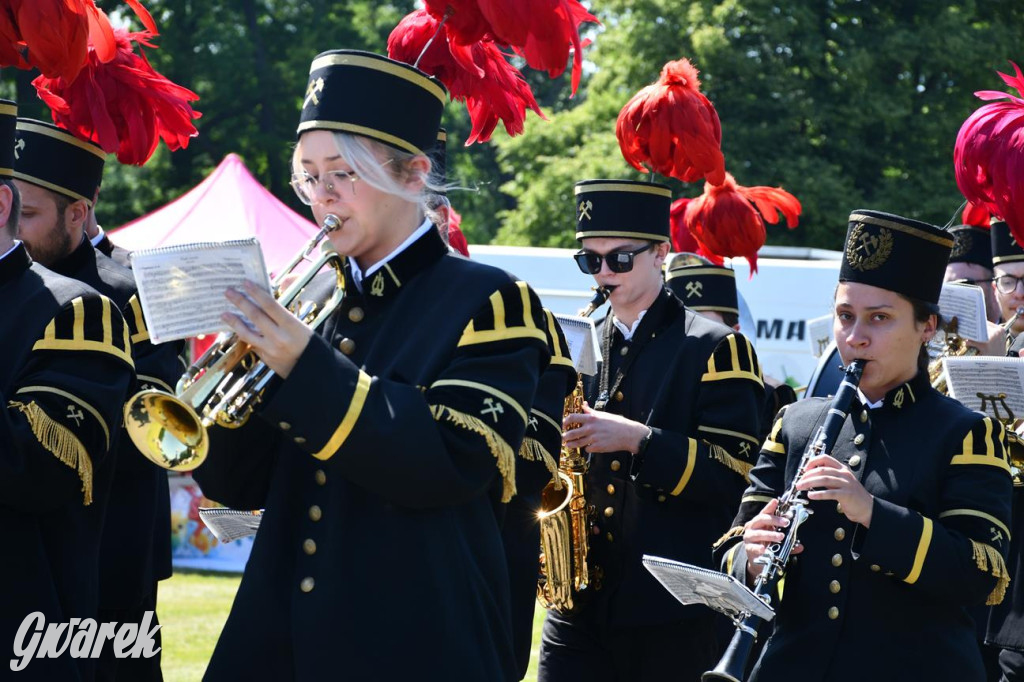 Dni Gminy Świerklaniec w zabytkowym parku