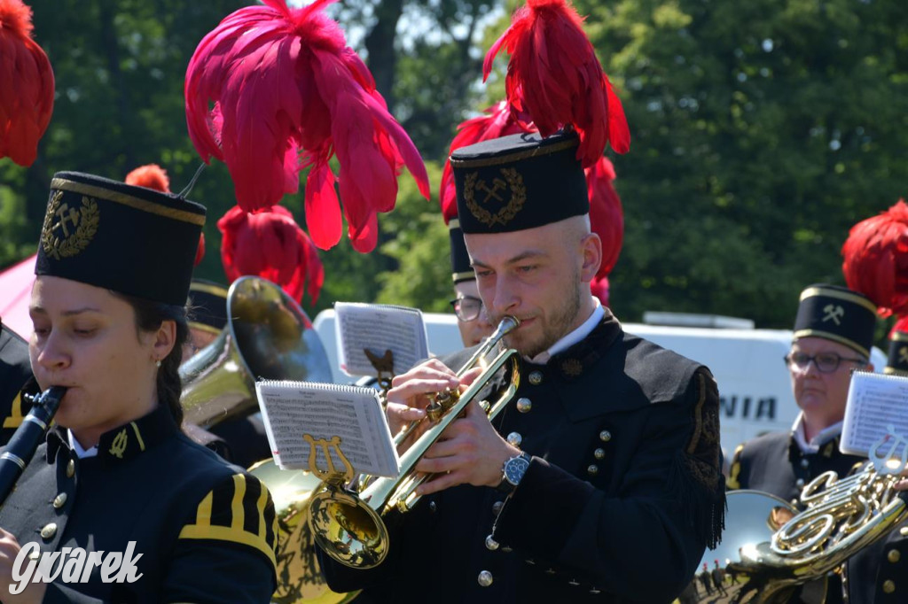 Dni Gminy Świerklaniec w zabytkowym parku