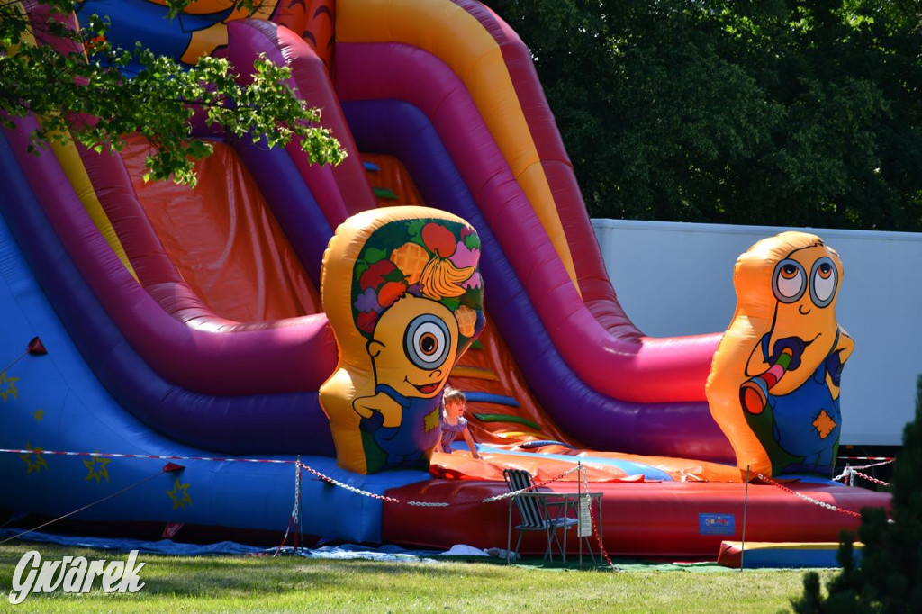 Dni Gminy Świerklaniec w zabytkowym parku