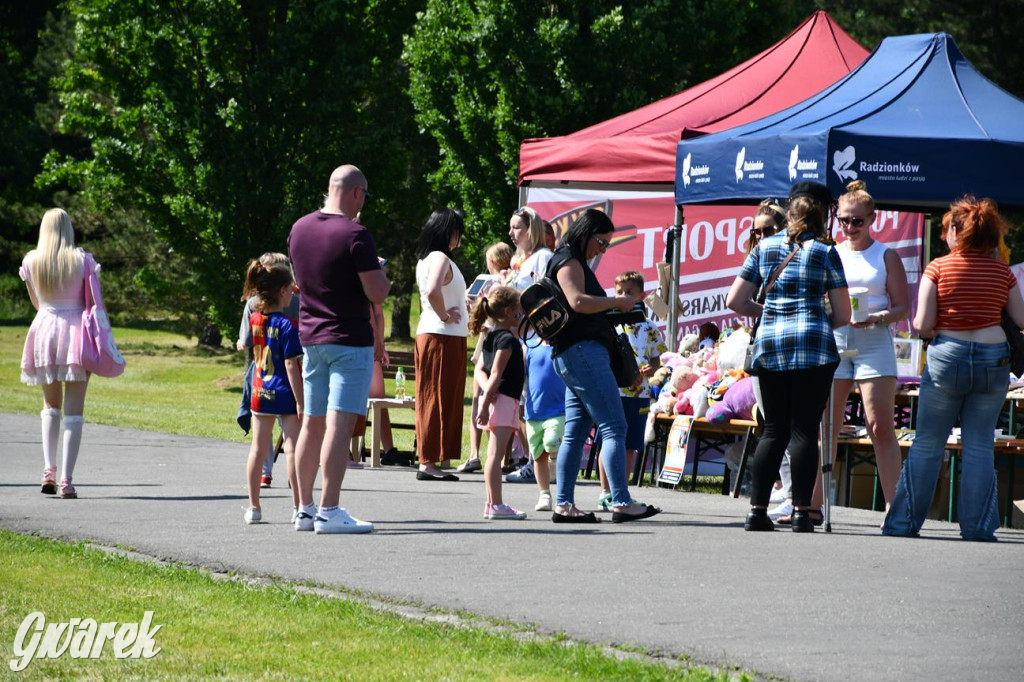 Dni Gminy Świerklaniec w zabytkowym parku