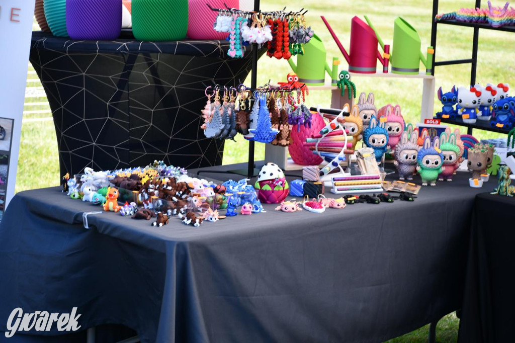 Dni Gminy Świerklaniec w zabytkowym parku