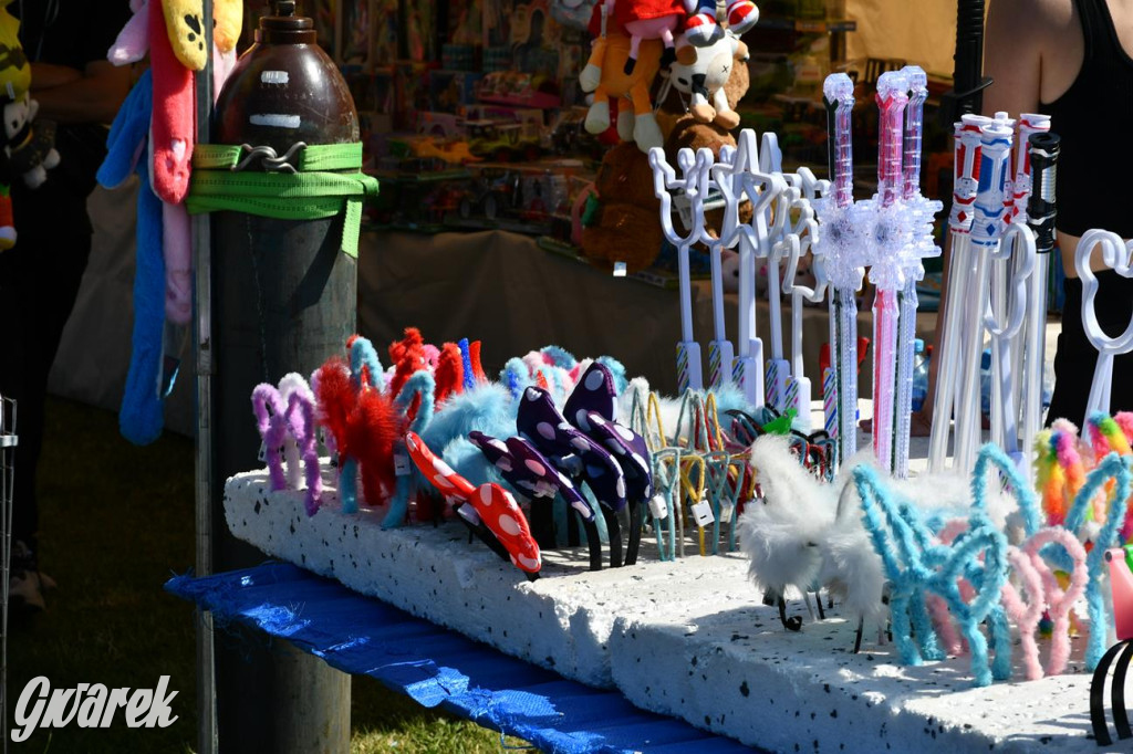 Dni Gminy Świerklaniec w zabytkowym parku