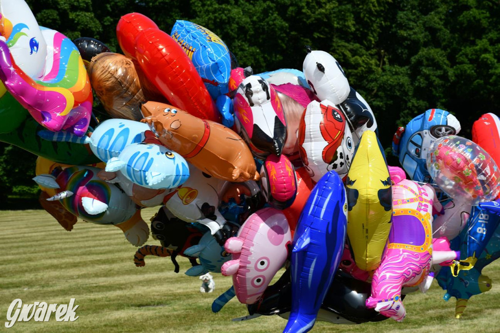 Dni Gminy Świerklaniec w zabytkowym parku