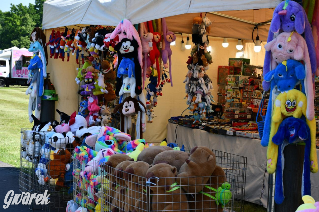 Dni Gminy Świerklaniec w zabytkowym parku