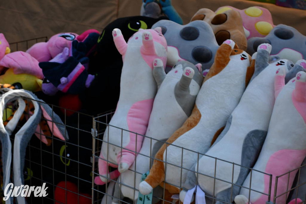 Dni Gminy Świerklaniec w zabytkowym parku