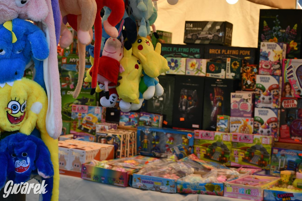 Dni Gminy Świerklaniec w zabytkowym parku