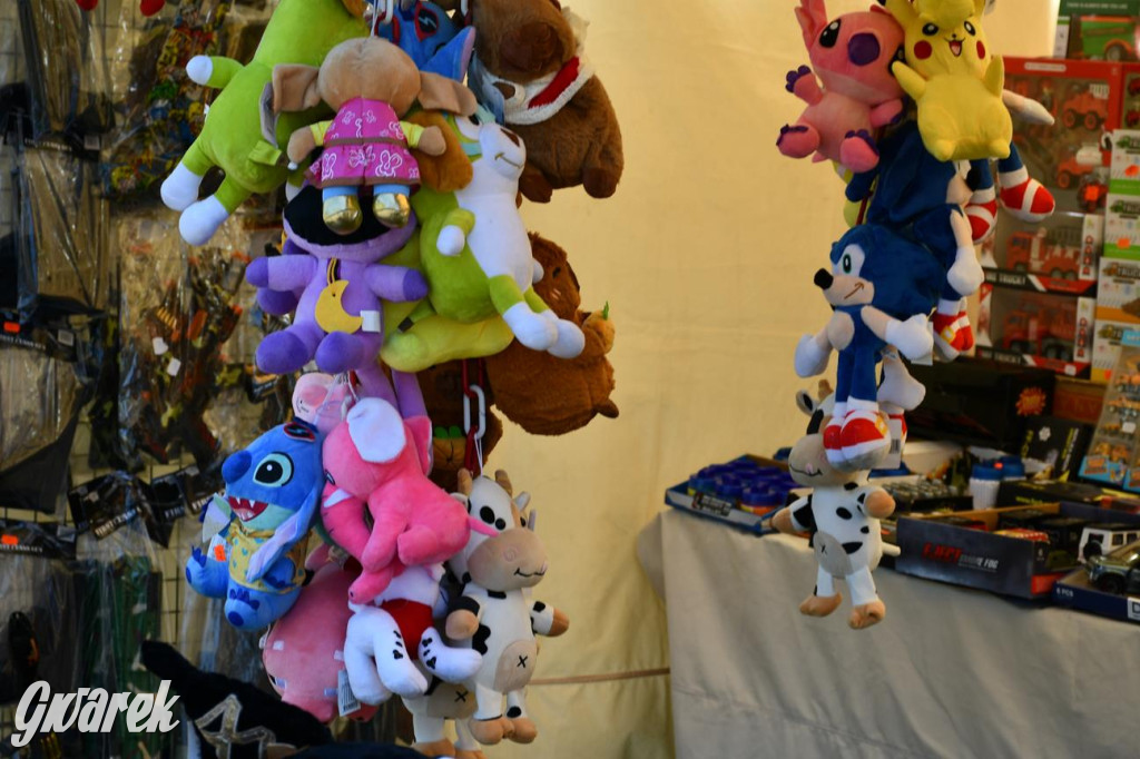 Dni Gminy Świerklaniec w zabytkowym parku