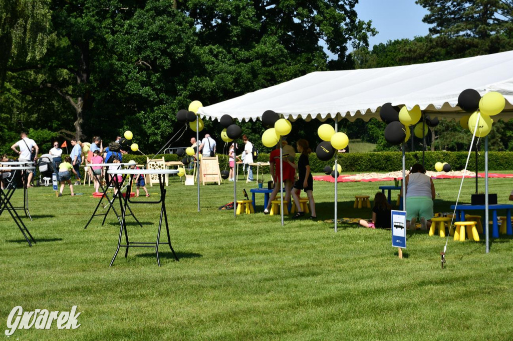 Dni Gminy Świerklaniec w zabytkowym parku