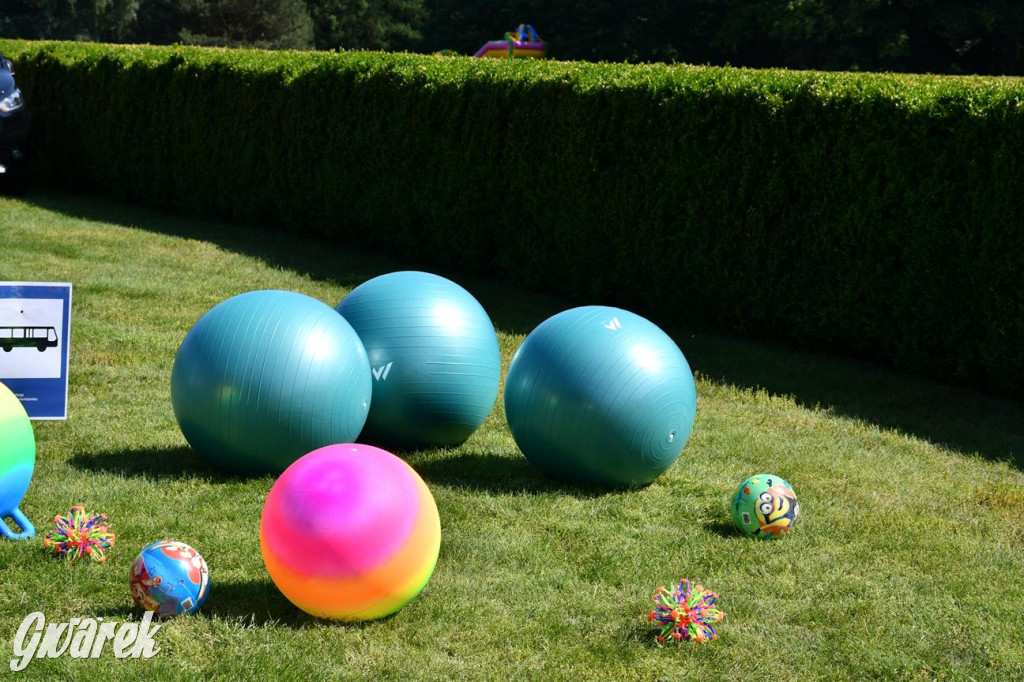 Dni Gminy Świerklaniec w zabytkowym parku