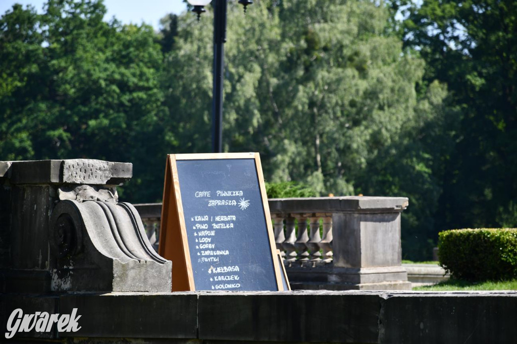 Dni Gminy Świerklaniec w zabytkowym parku