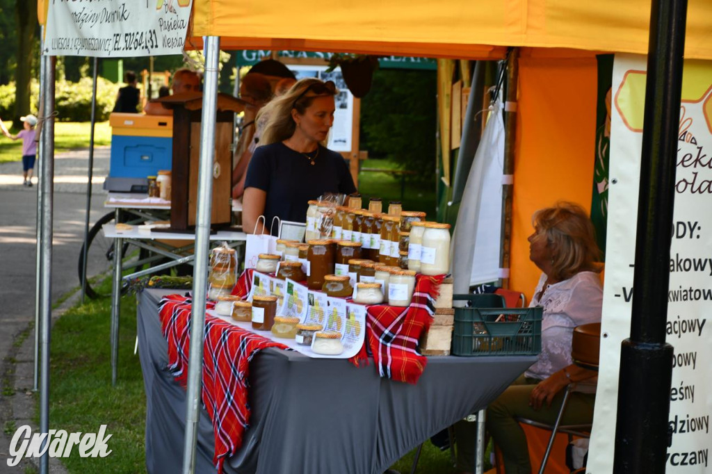 Dni Gminy Świerklaniec w zabytkowym parku