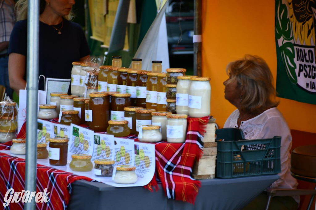 Dni Gminy Świerklaniec w zabytkowym parku