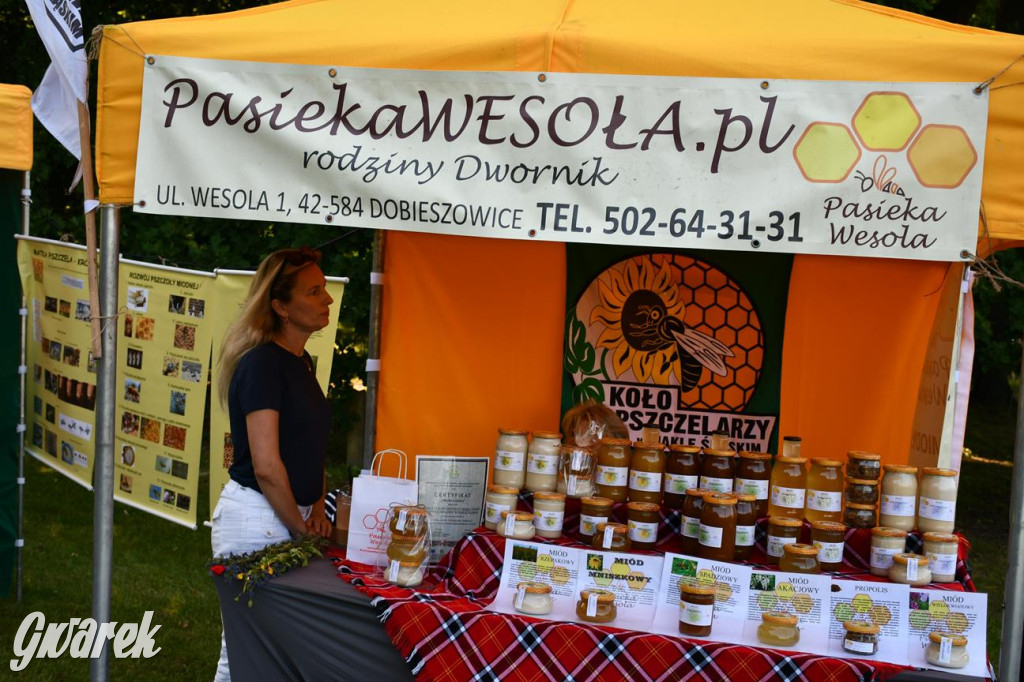 Dni Gminy Świerklaniec w zabytkowym parku