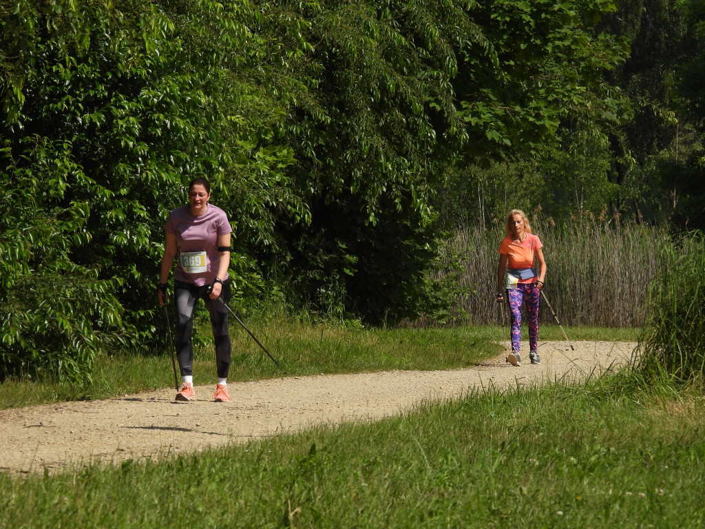 VI Pętla Chechelska: bieg i marsz