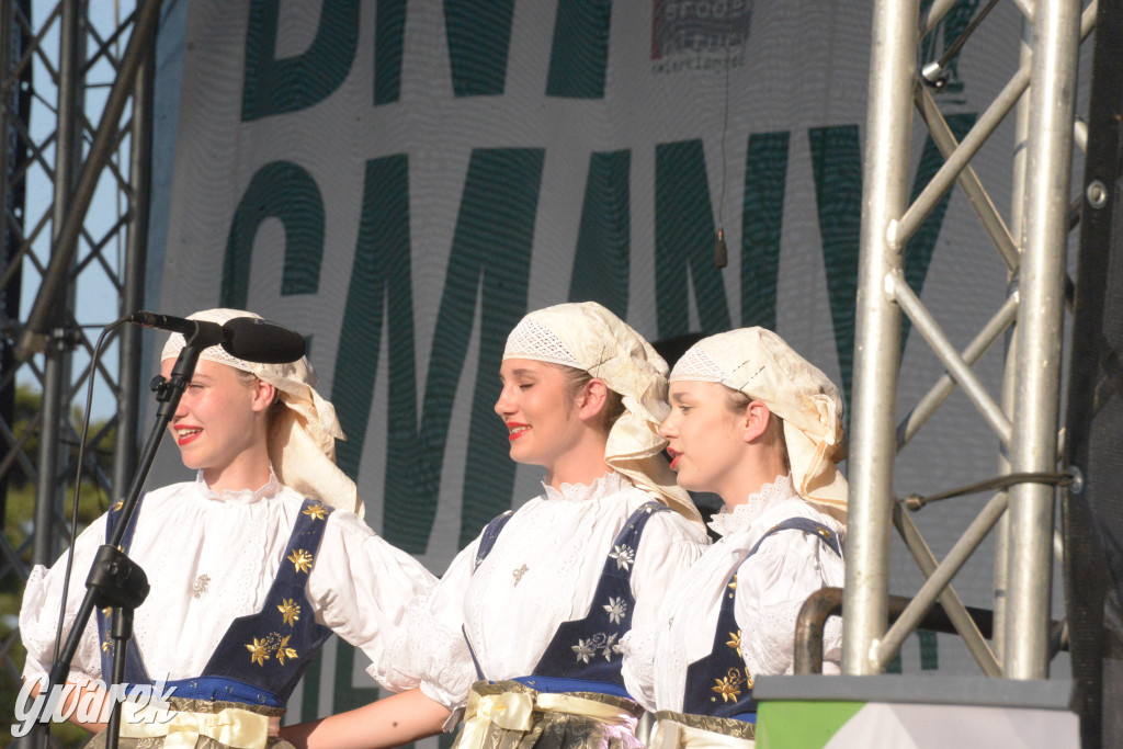 Upalne Dni Gminy Świerklaniec 2025