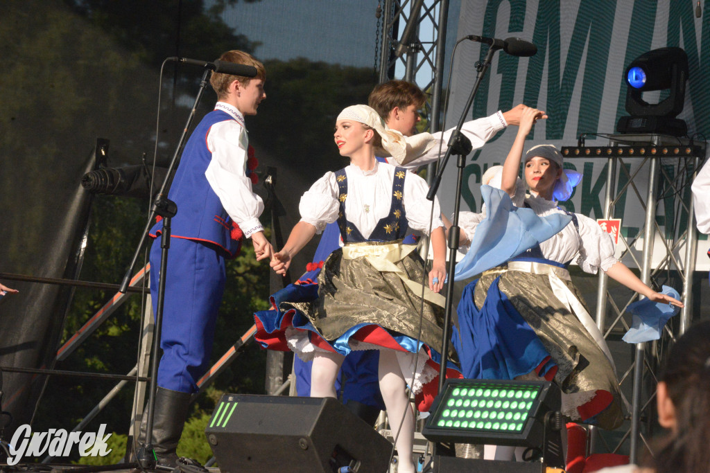 Upalne Dni Gminy Świerklaniec 2025