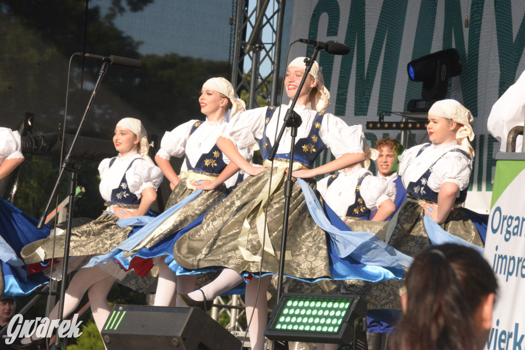 Upalne Dni Gminy Świerklaniec 2025