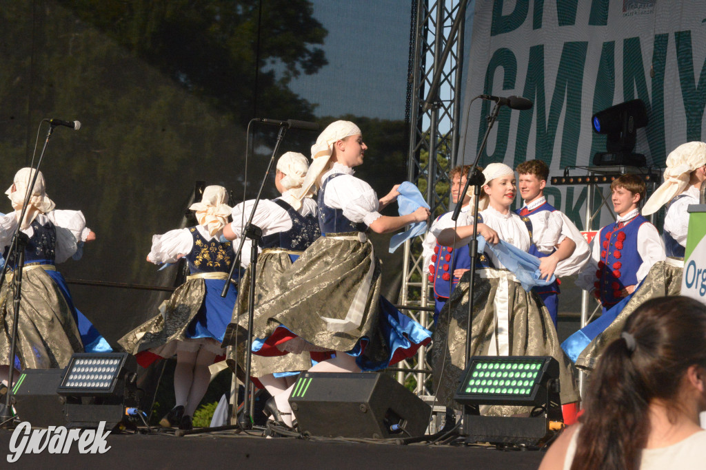 Upalne Dni Gminy Świerklaniec 2025