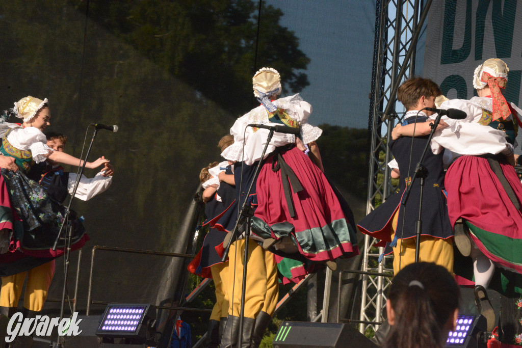 Upalne Dni Gminy Świerklaniec 2025