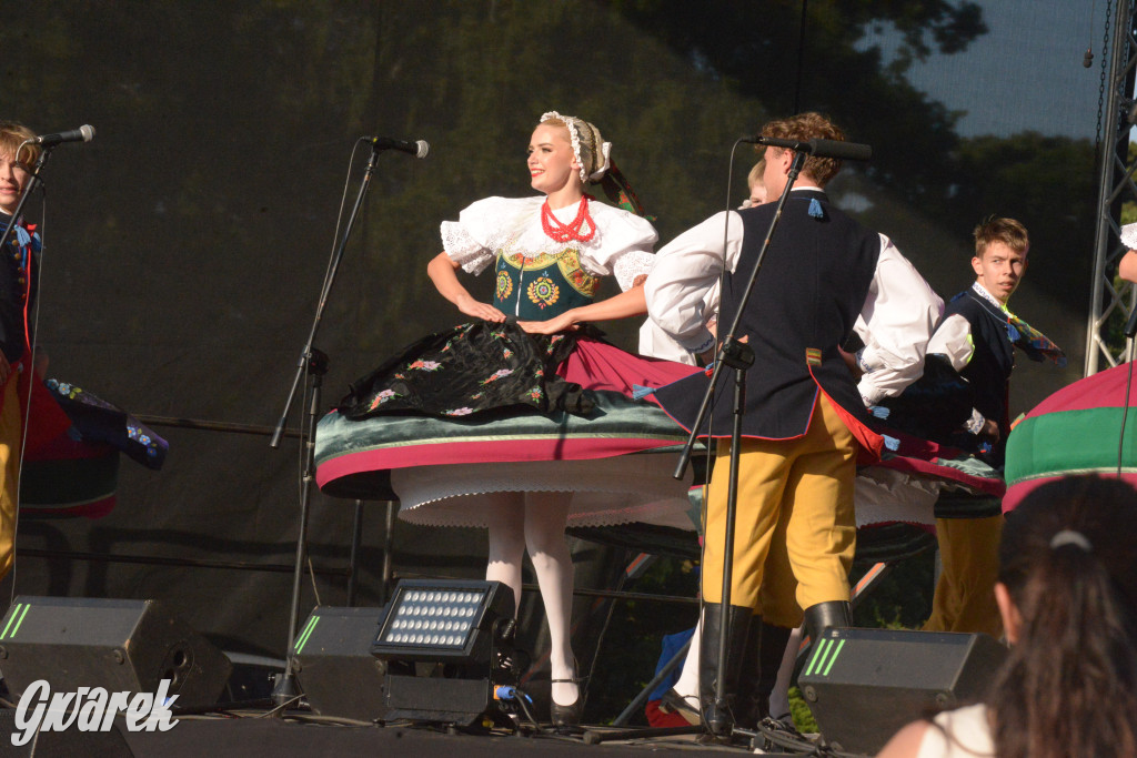 Upalne Dni Gminy Świerklaniec 2025