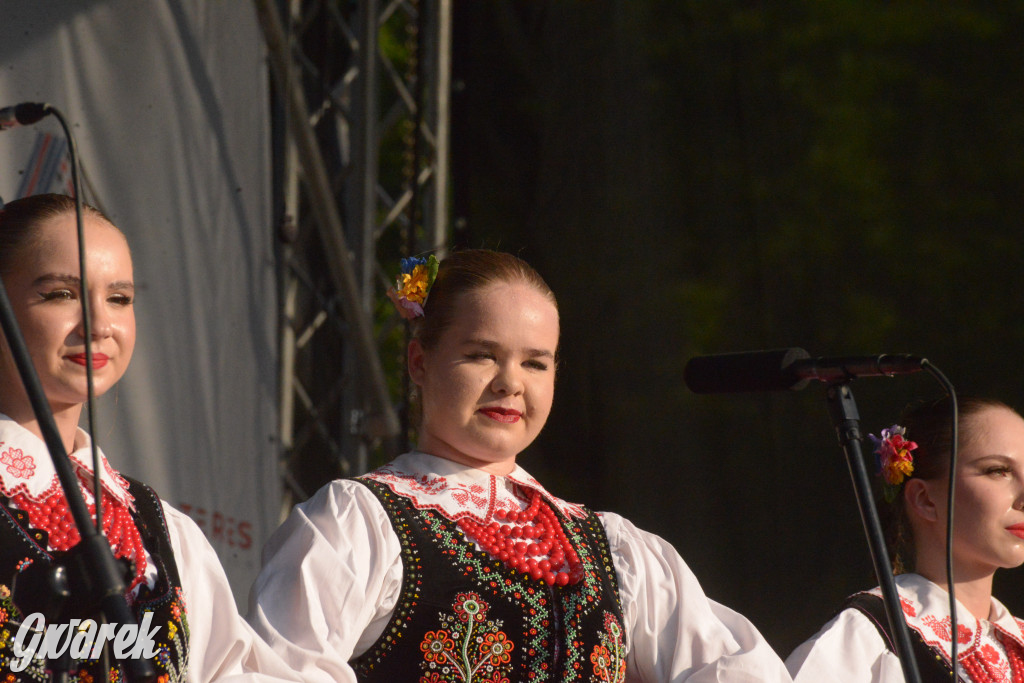 Upalne Dni Gminy Świerklaniec 2025