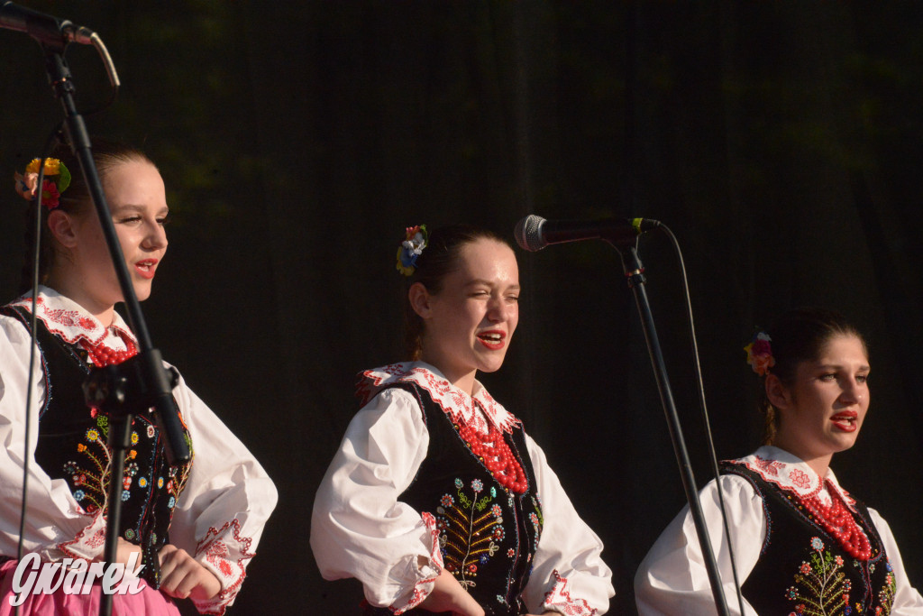 Upalne Dni Gminy Świerklaniec 2025