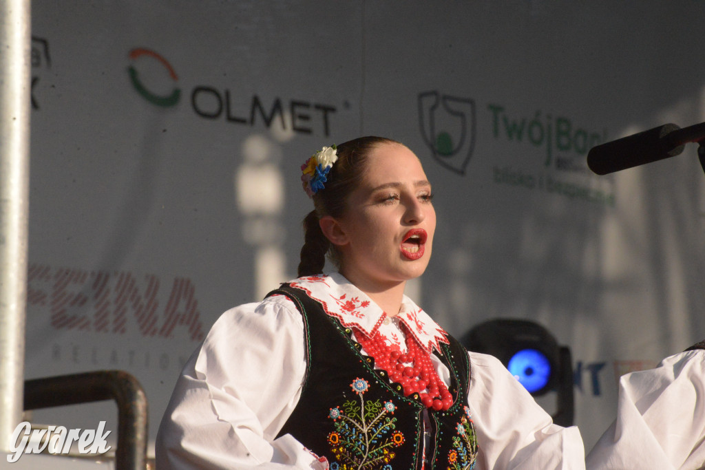 Upalne Dni Gminy Świerklaniec 2025