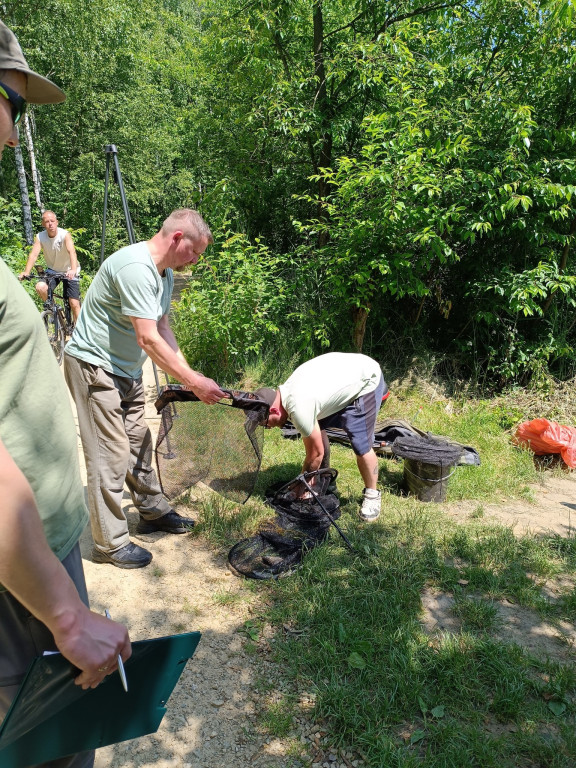Maraton na 75-lecie koła PZW Tarnowskie Góry