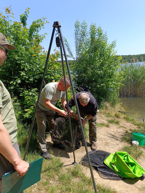 Maraton na 75-lecie koła PZW Tarnowskie Góry