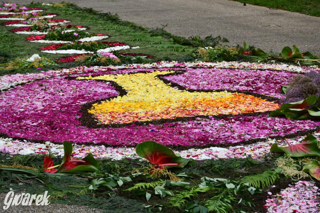 Procesja Bożego Ciała w Piekarach Śląskich
