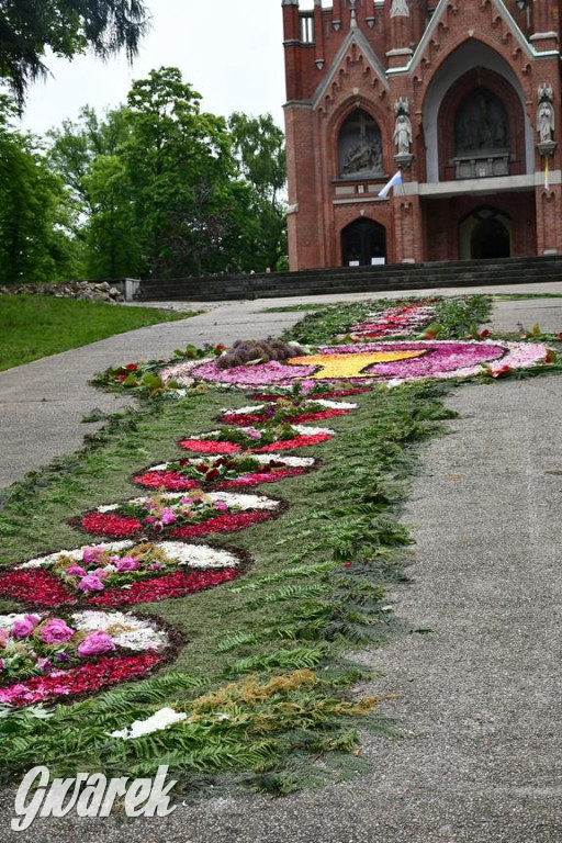Procesja Bożego Ciała w Piekarach Śląskich